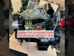 Standard Size Automobile Engine Parts for Nissan Car Engine Types